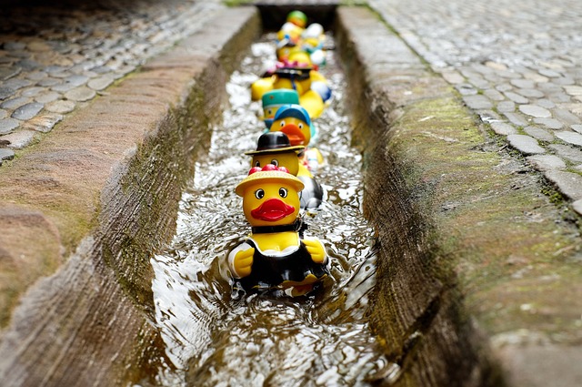 Goals of proceeds from rubber duck race and activities for visitors